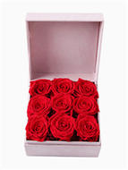 怦然心动----永生花盒:厄瓜多尔进口红色永生玫瑰